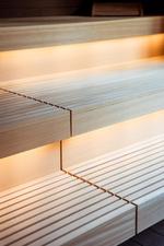 Neues Herbarium : Bild 8