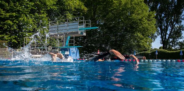 Mehrere Schwimmer beim Freistilschwimmen in einem Außenbecken unter Bäumen