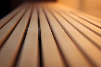 Neues Herbarium : Bild 13