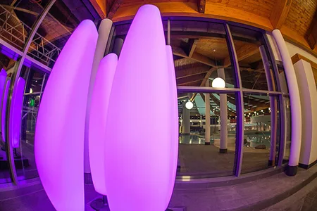 Violett leuchtende, organisch geformte Lampen in einem modernen Innenraum mit Holzdecke und großen Glasfenstern