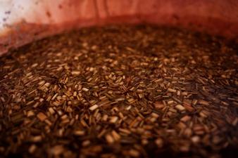 Neues Herbarium : Bild 10