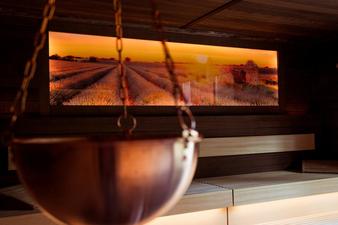 Neues Herbarium : Bild 7