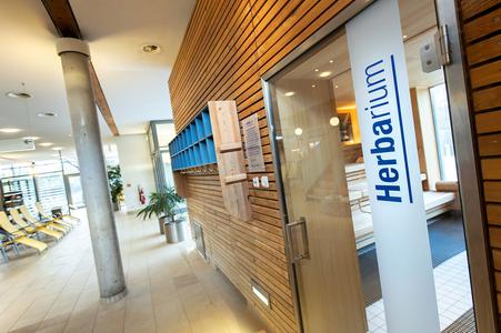 Eingang zum Herbarium mit Glastür, daneben Holzwand mit blauen Fächern und Sitzbereich im Hintergrund