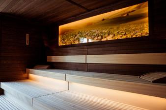 Neues Herbarium : Bild 2