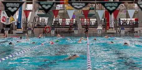 Impressionen 24-Stunden-Schwimmen 2023 : Bild 3